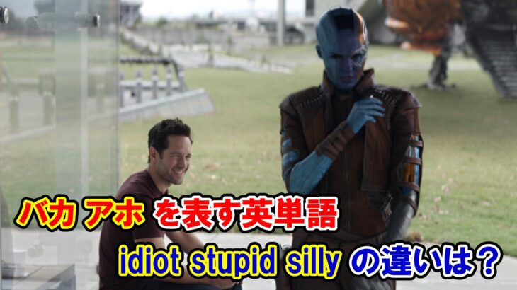 【エンドゲーム】「バカ・アホ」を表す単語『idiot/stupid/silly』の違いは？【アベンジャーズのセリフで英語の問題】