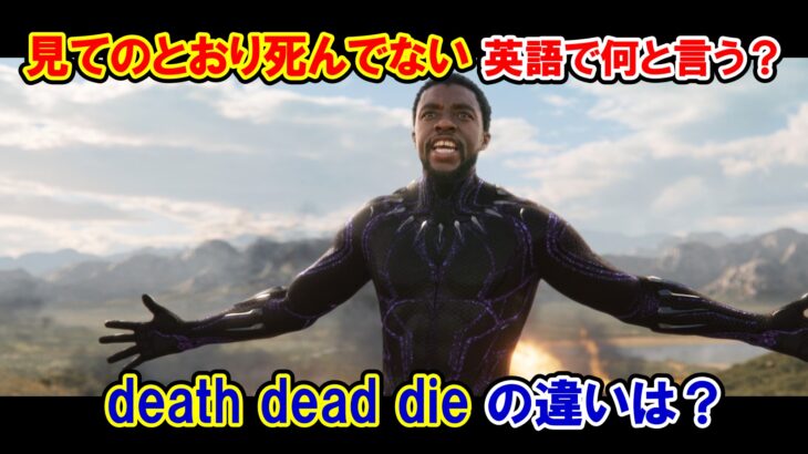 【ブラックパンサー】『見てのとおり　死んでない』は英語で何と言う？『death, dead, die』の違いは？【マーベル映画のセリフで英語の問題】