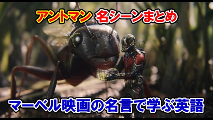 アントマン　アベンジャーズ　マーベル