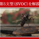 【アントマン】マーベル映画のセリフで『第５文型（SVOC）』を解説【英語の問題】