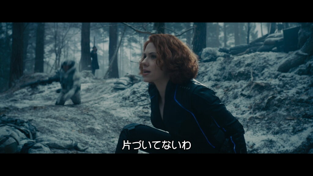 映画『アベンジャーズ/エイジ・オブ・ウルトロン』　原題『Avengers: Age of Ultron』　アベンジャーズ　マーベル