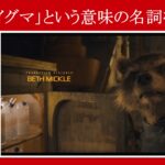 【ガーディアンズ】マーベル映画のセリフで『アライグマ』という意味の名詞を解説【英語の問題】