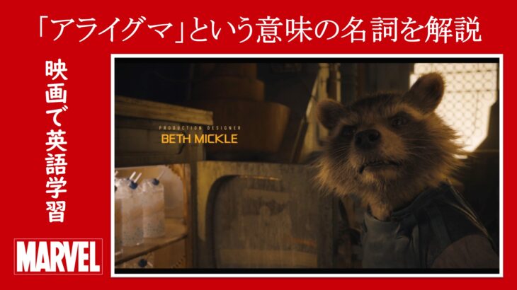【ガーディアンズ】マーベル映画のセリフで『アライグマ』という意味の名詞を解説【英語の問題】