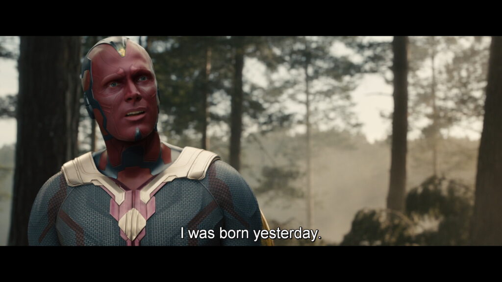 映画『アベンジャーズ/エイジ・オブ・ウルトロン』　原題『Avengers: Age of Ultron』　アベンジャーズ　マーベル