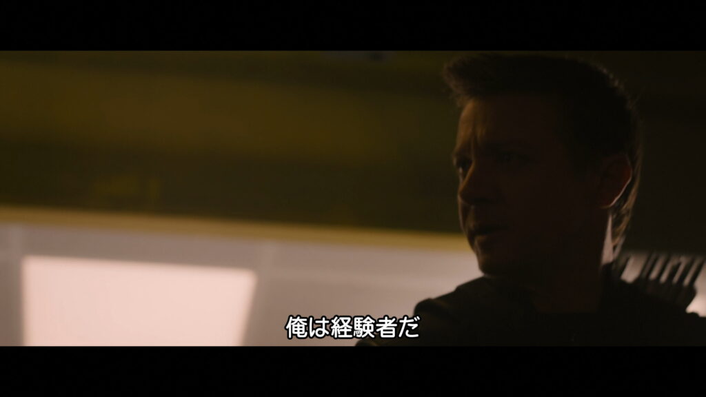 映画『アベンジャーズ/エイジ・オブ・ウルトロン』　原題『Avengers: Age of Ultron』　アベンジャーズ　マーベル