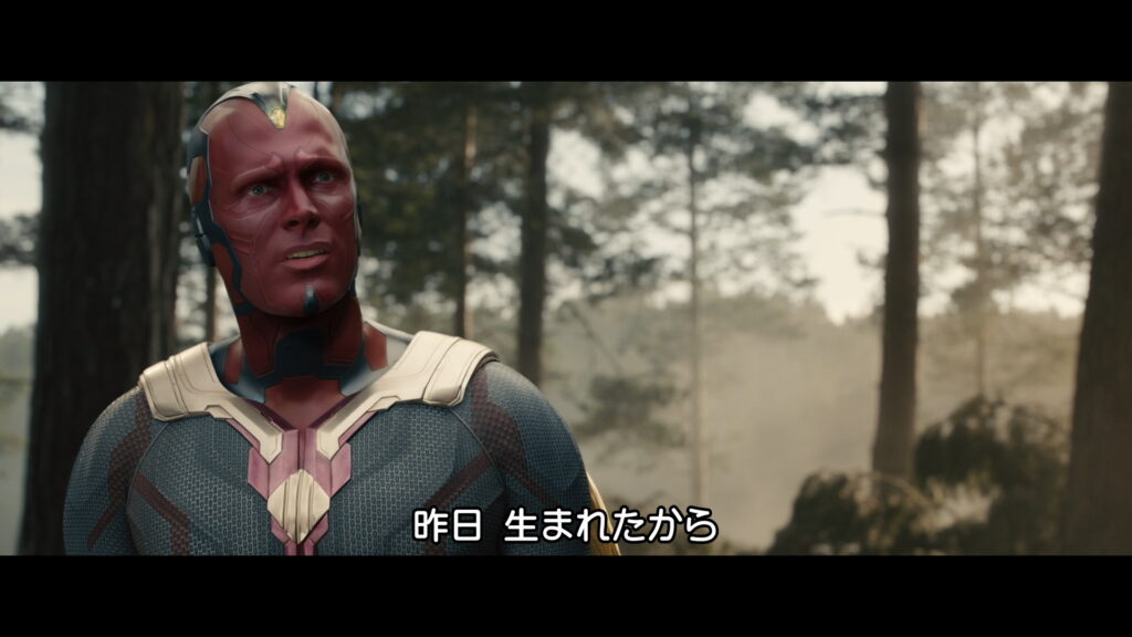 映画『アベンジャーズ/エイジ・オブ・ウルトロン』　原題『Avengers: Age of Ultron』　アベンジャーズ　マーベル