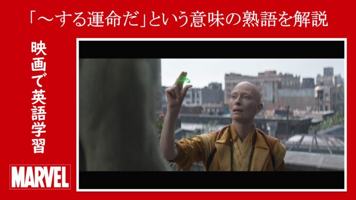 【エンドゲーム】マーベル映画のセリフで『～する運命だ』という意味の熟語を解説【英語の問題】