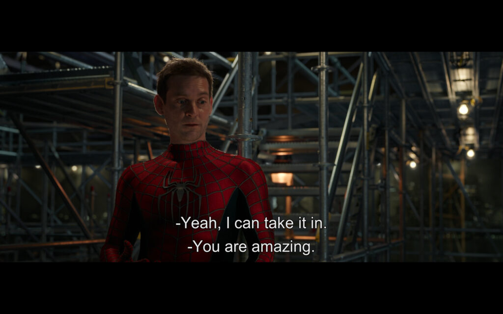映画『スパイダーマン：ノー・ウェイ・ホーム』　原題『Spider-Man: No Way Home』　アベンジャーズ　マーベル