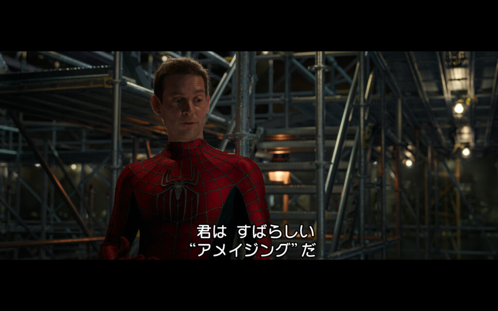 映画『スパイダーマン：ノー・ウェイ・ホーム』　原題『Spider-Man: No Way Home』　アベンジャーズ　マーベル